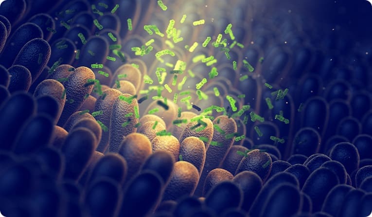 Que es la flora intestinal sobre multiflora